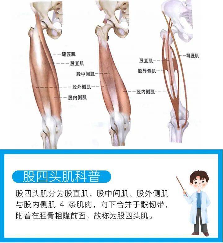 平博体育官网-刘诚宇9日晚训练仍单练，是大腿后侧肌肉群受伤